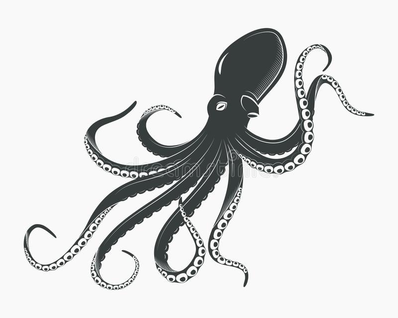 kraken